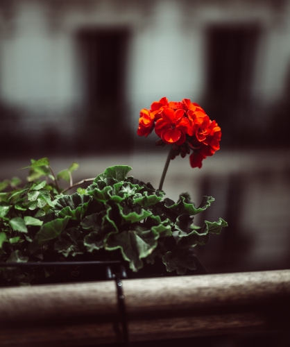 Hôtel Monsieur George Paris